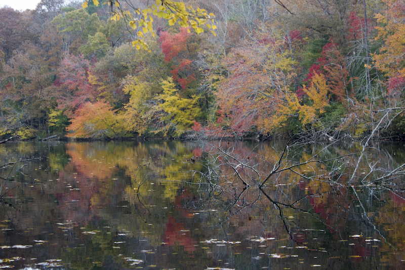 Hiking in autumn at Cumberland Mountain State Park